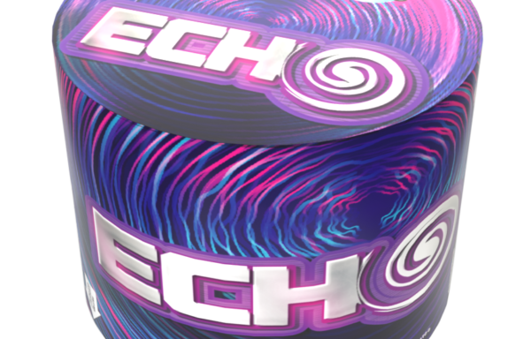 Echo